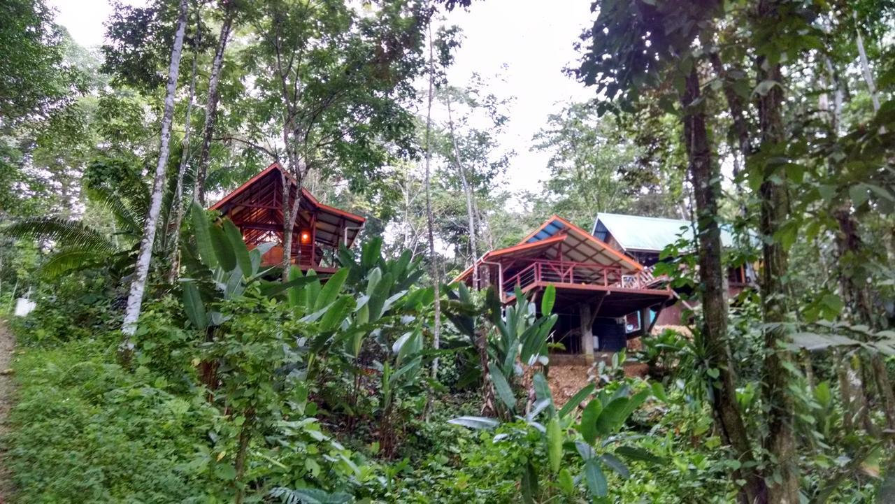 Surf Break At Paunch Bed and Breakfast Μπόκας ντελ Τόρο Εξωτερικό φωτογραφία